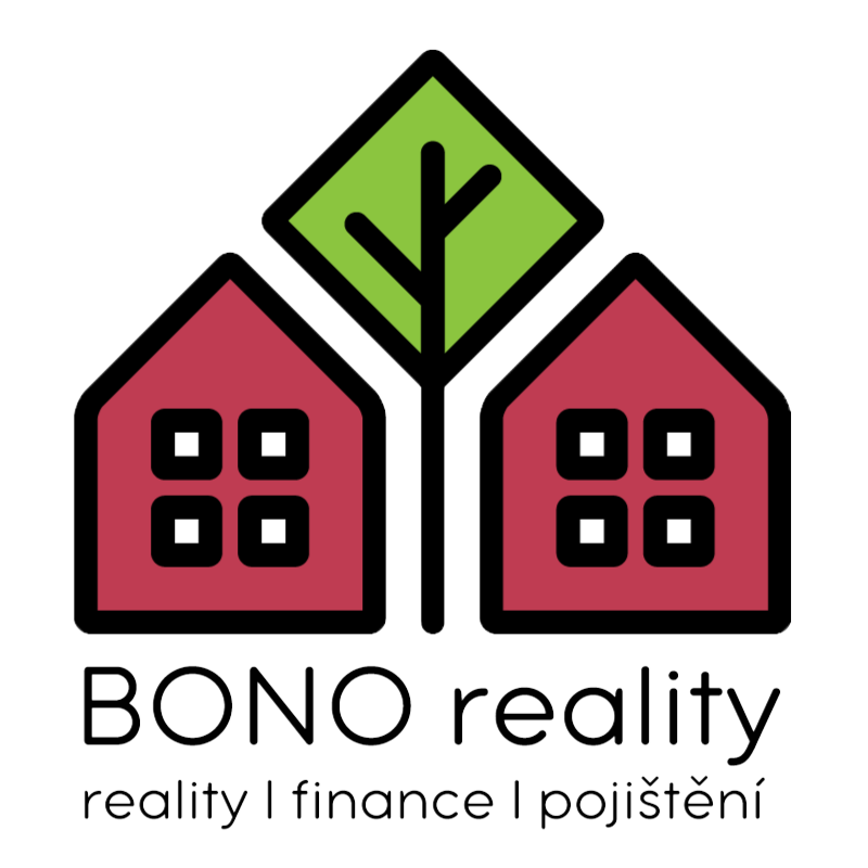 logo_bono_reality_google