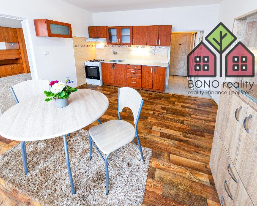 Byt, OV, 1+1, výměra 34 m2, dobrý stav, sklep, obec Ústí N/L, část Severní Terasa, ulice Pod Parkem