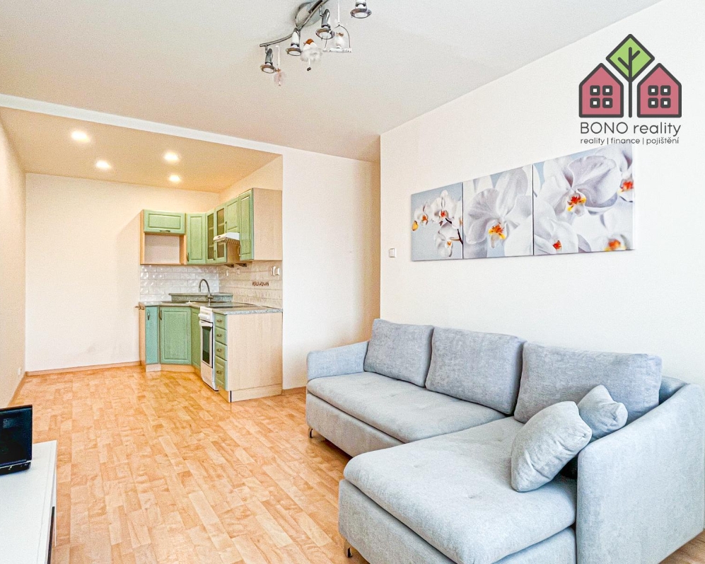 Byt, OV, dispozice 2+kk, plocha 40 m2, po pěkné rekonstrukci, sklep, obec Litoměřice, ul. Liškova.