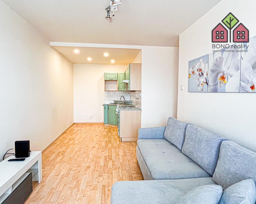 Byt, OV, dispozice 2+kk, plocha 40 m2, po pěkné rekonstrukci, sklep, obec Litoměřice, ul. Liškova.