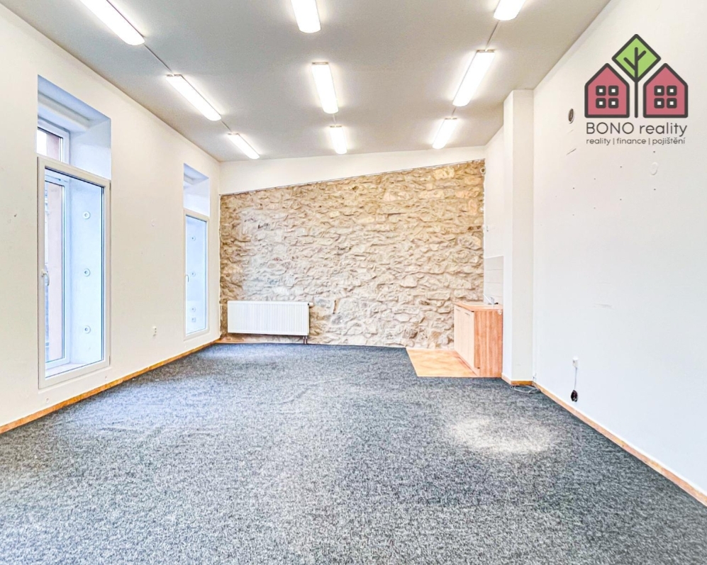 13.500,- Kč / měs.